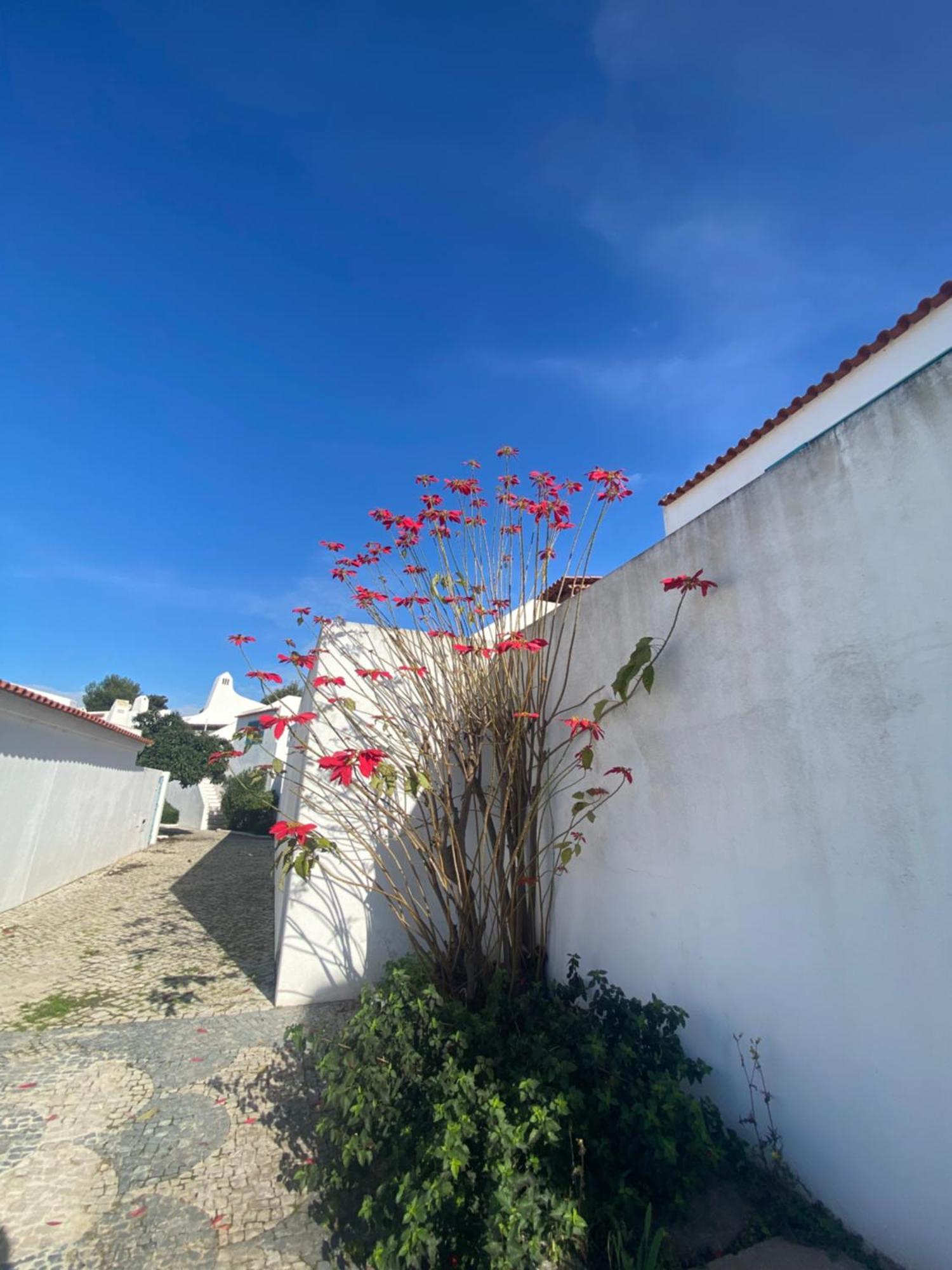 Prainhaactivitiesbeachhouse Villa Alvor Exterior photo